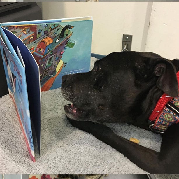 Children reading to shelter animals in the Paws for Reading program at SAVE